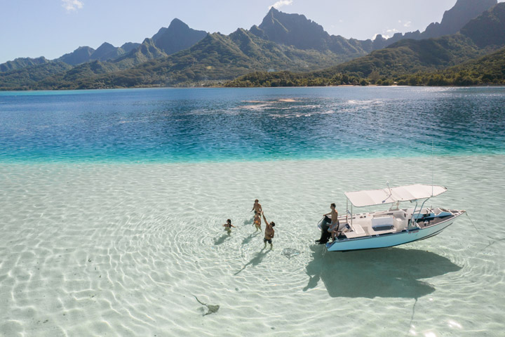 whale watching tour moorea